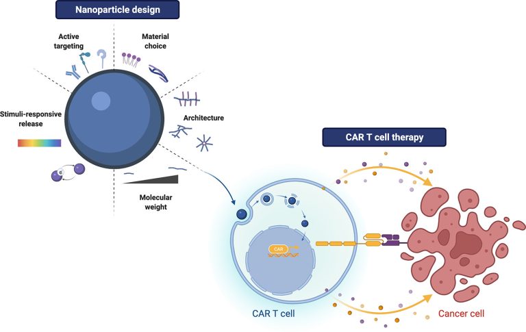 Polymer- and lipid-based gene delivery technology for CAR T cell therapy