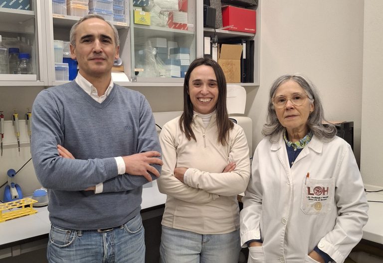 Combinação de terapia génica e quimioterapia num novo nanosistema híbrido direcionado para o carcinoma hepatocelular