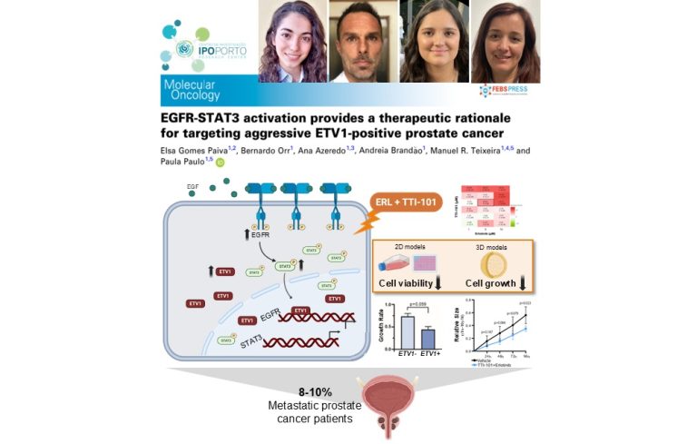 EGFR e STAT3 como alvos terapêuticos em carcinoma da próstata ETV1-positivo