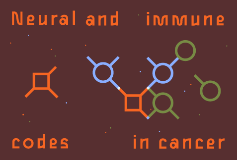 CRSy26 – Champalimaud Research Symposium 2026: «Neural and Immune Codes in Cancer»