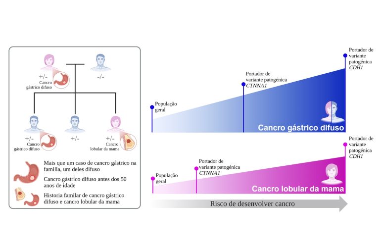 i3S lidera estudo que redefine o risco de cancro e as diretrizes de testes para portadores do gene CTNNA1
