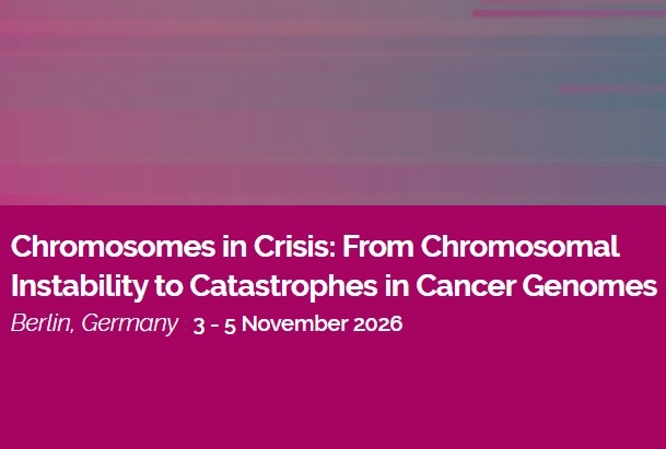 Chromosomes in Crisis: From Chromosomal Instability to Catastrophes in Cancer Genomes