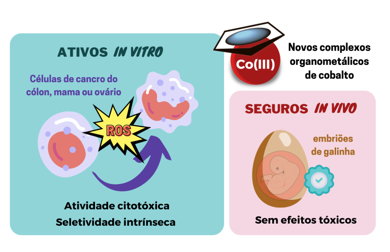Primeiros complexos de cobalto-ciclopentadienilo seletivos para o cancro