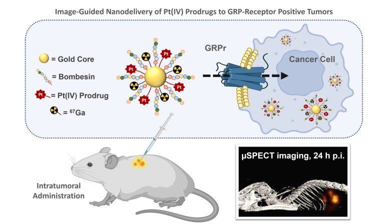 Nanopartículas para entrega guiada por imagem de pró-fármacos de Pt(IV) a tumores com sobre-expressão do receptor GRP