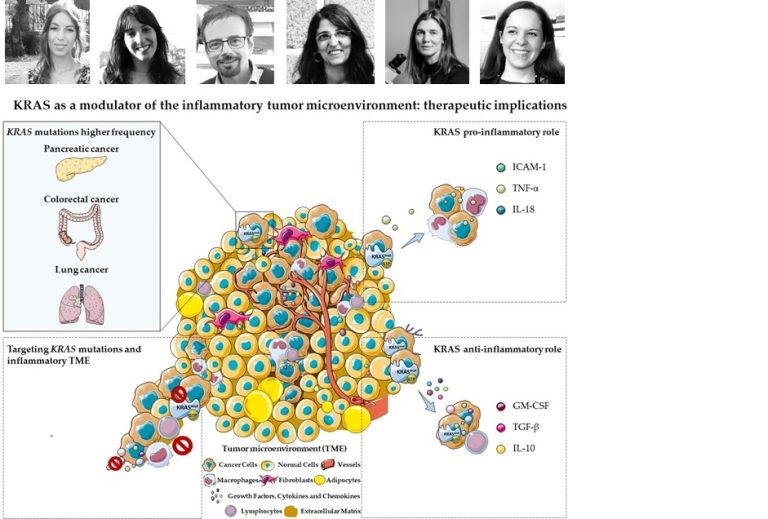 KRAS as a Modulator of the Inflammatory Tumor Microenvironment