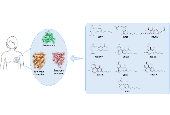 Minor canabinoides atuam em alvos moleculares importantes para o cancro da mama