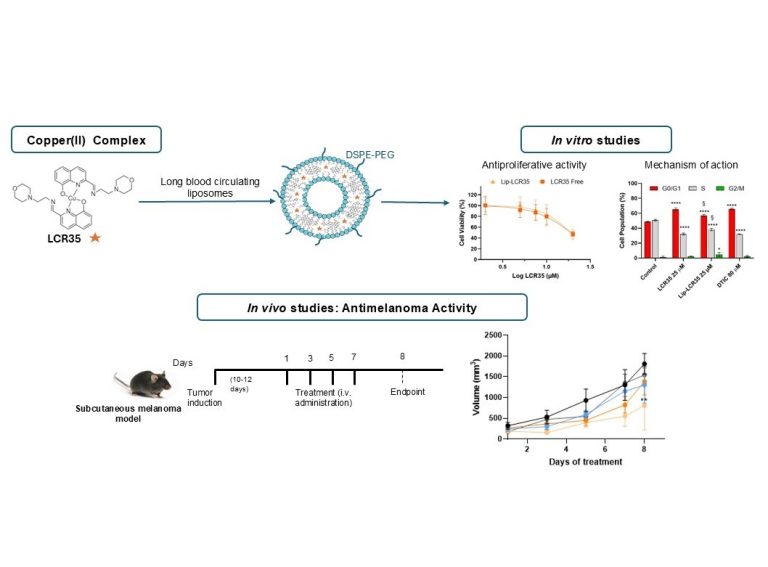Nanoformulações lipossomais de novos complexos de cobre exibindo atividade antimelanoma – validação in vitro e in vivo