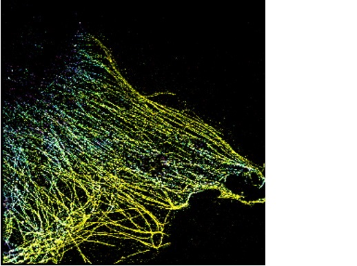 Nano fabricação 3D para microscopia single-molecule