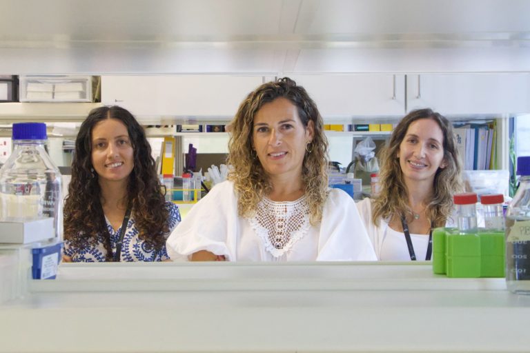 Investigadores do i3S desenvolvem nova estratégia para criar uma super célula CAR-T contra os tumores sólidos